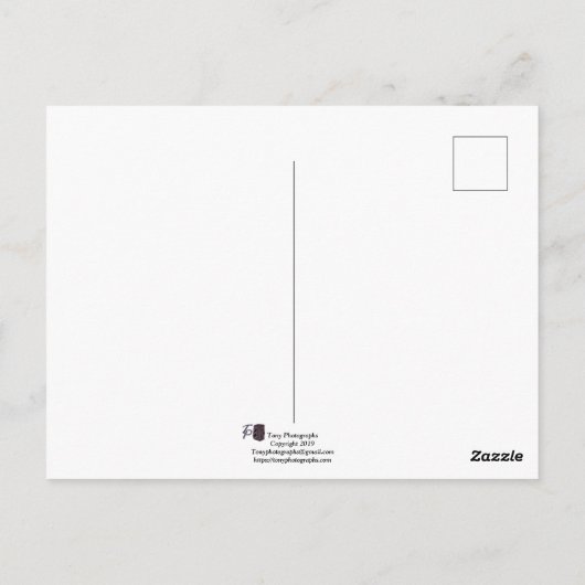 Carte Postale Rose rose rose (Dos)