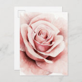 Carte Postale Rose rose rose (Devant / Derrière)