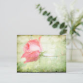 Carte Postale Rose rose rose (Debout devant)