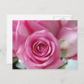 Carte Postale Rose rose rose (Devant / Derrière)