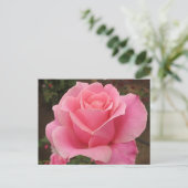 Carte Postale Rose rose rose (Debout devant)