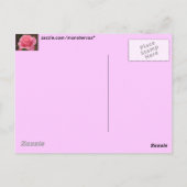 Carte Postale Rose rose rose (Dos)