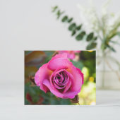 Carte Postale Rose rose rose (Debout devant)