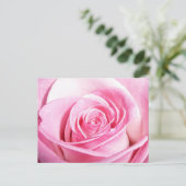 Carte Postale Rose rose rose (Debout devant)