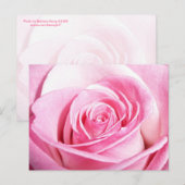Carte Postale Rose rose rose (Devant / Derrière)