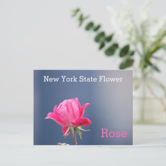 Carte Postale Rose rose rose fleur de l'État de New York (Debout devant)