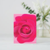 Carte Postale Rose rose rouge romantique (Debout devant)