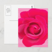 Carte Postale Rose rose rouge romantique (Devant / Derrière)