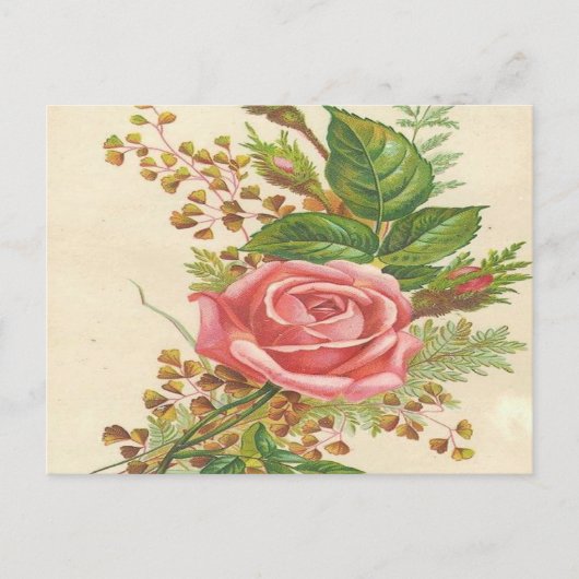 Carte Postale Rose rose vintage (Devant)