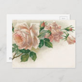 Carte Postale Rose rose vintage (Devant / Derrière)
