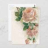 Carte Postale Rose rose vintage (Devant / Derrière)