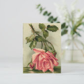 Carte Postale Rose rose vintage (Debout devant)