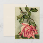 Carte Postale Rose rose vintage (Devant / Derrière)