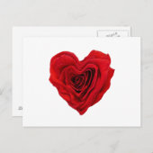 Carte Postale Rose rouge (Devant / Derrière)