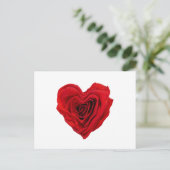 Carte Postale Rose rouge (Debout devant)