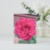 Carte Postale Rose rouge (Debout devant)