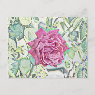 Carte Postale Rose rouge