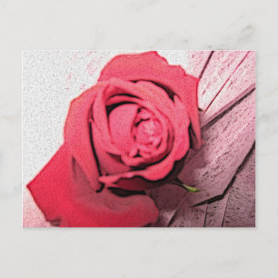 Carte Postale Rose rouge