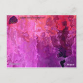 Carte postale Rose rouge (Dos)