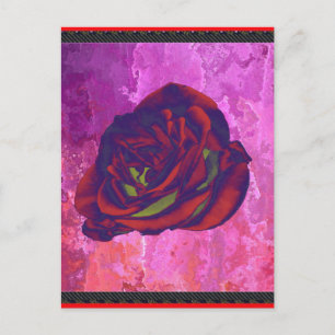 Carte postale Rose rouge
