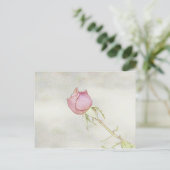 Carte Postale Rose rouge (Debout devant)