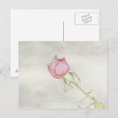 Carte Postale Rose rouge (Devant / Derrière)