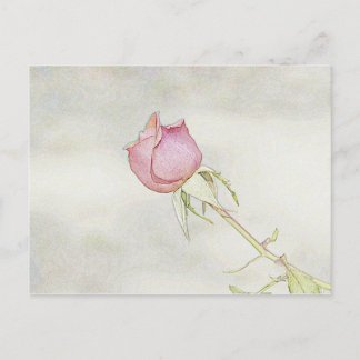Carte Postale Rose rouge