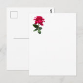 Carte Postale Rose rouge (Devant / Derrière)
