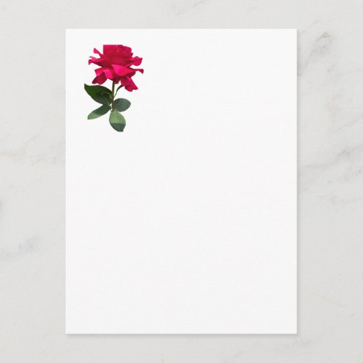 Carte Postale Rose rouge (Devant)