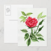 Carte Postale Rose rouge (Devant / Derrière)
