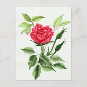 Carte Postale Rose rouge