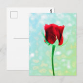 Carte Postale Rose rouge (Devant / Derrière)