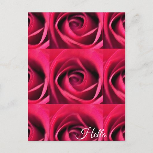Carte Postale Rose rouge (Devant)