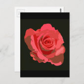 Carte Postale Rose rouge (Devant / Derrière)