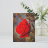 Carte Postale Rose rouge (Debout devant)