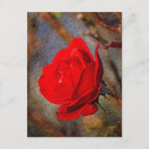 Carte Postale Rose rouge