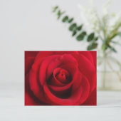 Carte postale Rose rouge (Debout devant)