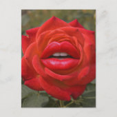 Carte Postale Rose rouge avec collage de lèvres (Devant)