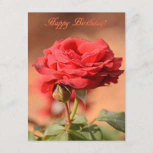 Carte Postale Rose rouge avec Joyeux Anniversaire Bouquet