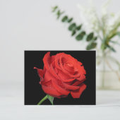 Carte Postale Rose rouge Fleur noir floral (Debout devant)