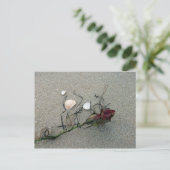 Carte Postale Rose rouge perdue en mer (Debout devant)