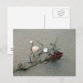 Carte Postale Rose rouge perdue en mer (Devant / Derrière)