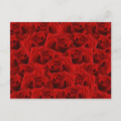 Carte Postale Rose rouge romantique (Devant)