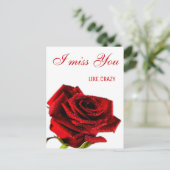 Carte Postale Rose rouge romantique qui vous manque (Debout devant)