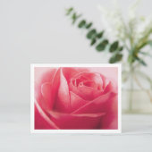 Carte postale Rose Rouge Rose Blank Grey (Debout devant)