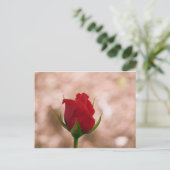 Carte Postale Rose rouge simple (Debout devant)