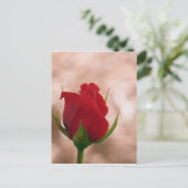 Carte Postale Rose rouge simple (Debout devant)