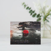 Carte Postale Rose rouge unique dans la pluie (Debout devant)