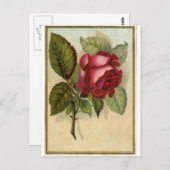 Carte Postale Rose rouge vintage (Devant / Derrière)