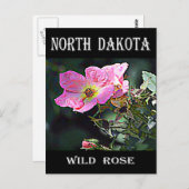 Carte Postale Rose sauvage du Dakota du Nord (Devant / Derrière)
